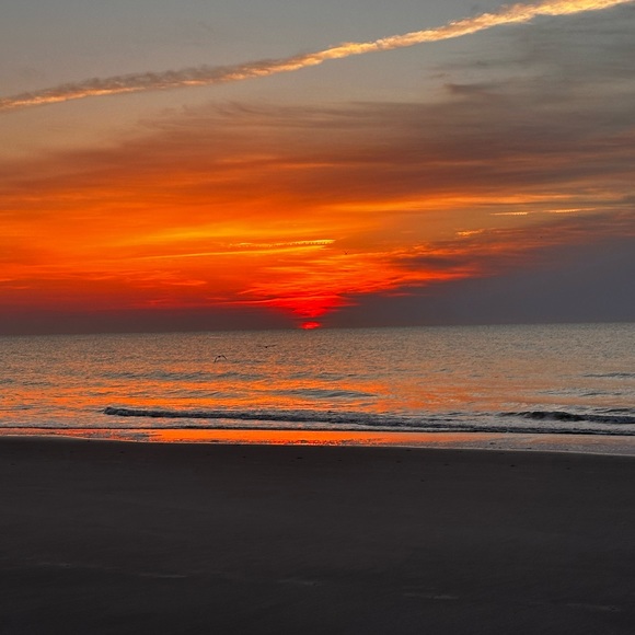 Sunrise - Picture 7 of 10